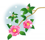 11月