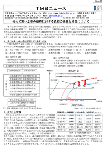 極めて高い水準の所得に対する負担の適正化措置について